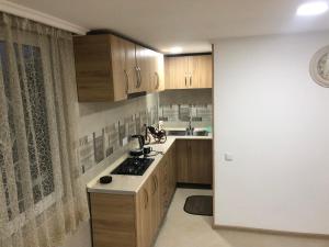 Kuchyň nebo kuchyňský kout v ubytování Guesthouse BATU