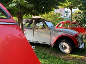 a white and red car parked in the grass at CASABELLA-LAGO MAGGIORE in Lesa