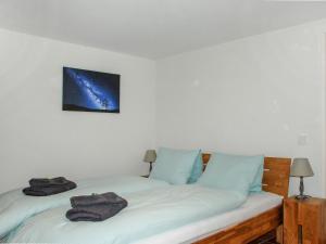 a bedroom with two twin beds with blue pillows at Holiday Home Rustico Ca' di Garoi by Interhome in Malvaglia