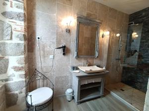 a bathroom with a sink and a shower and a toilet at Le Manoir aux Douves in Bazoges-en-Paillers