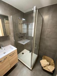 W łazience znajduje się prysznic i umywalka. w obiekcie Charmant studio à Haguenau, à 25mn de Strasbourg w mieście Haguenau