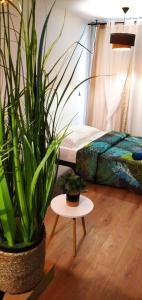 Ein Bett oder Betten in einem Zimmer der Unterkunft " St Gilles les bains centre Studio Coin douillet"