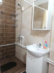 Koupelna v ubytování Apartman Radulović