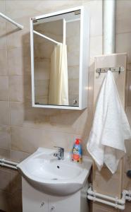 Koupelna v ubytování Apartman Radulović