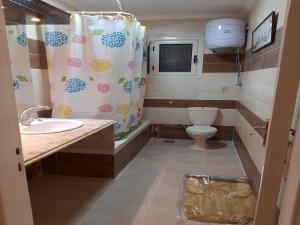 a bathroom with a toilet and a shower curtain at Small Friendly Apart In a Villa - New Cairo 5th Settlement in Cairo