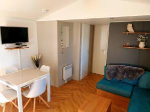 TV in/ali zabaviščno središče v nastanitvi Luxe Chalet Lauwersoog