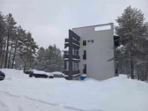 L'établissement Apartman Tanja en hiver