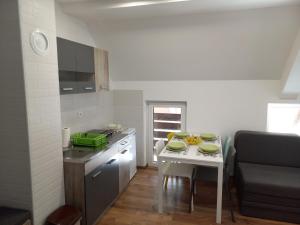 Cuisine ou kitchenette dans l'établissement Apartman Tanja