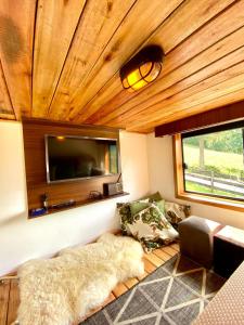 a living room with a couch and a flat screen tv at Tiny House Urubici in Urubici