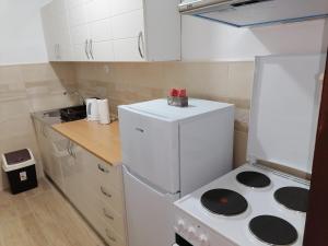 Kuchyň nebo kuchyňský kout v ubytování Apartman Radulović