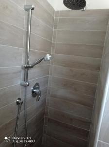 a shower with a shower head in a bathroom at Franca in Lonate Ceppino