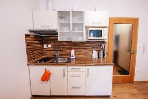 Kuchyňa alebo kuchynka v ubytovaní Lipno nad Vltavou - Apartman 23 - WiFi, Parking, Netflix