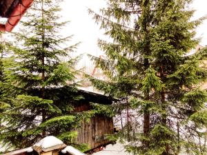 Príroda v okolí apartmánu