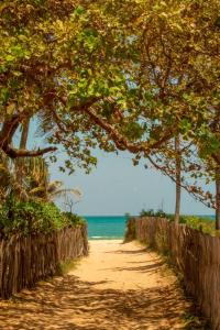uma estrada de terra com árvores e o oceano no fundo em Pousada Tangerina em Icaraí