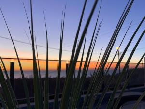 Φυσικό τοπίο κοντά σε αυτό το διαμέρισμα +43 φωτογραφίες