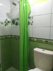 La salle de bains est pourvue d'un rideau de douche vert et de toilettes. dans l'établissement Chakana Family Home 2 Lima Airport, à Lima