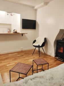 ein Wohnzimmer mit einem Stuhl und einem Kamin in der Unterkunft Chez Fanny. - studio Cosy Paris 21m2 Porte de Pantin. 2-3 pers in Le Pré-Saint-Gervais