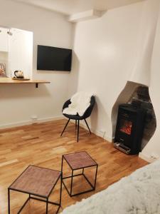 ein Wohnzimmer mit einem Stuhl und einem Kamin in der Unterkunft Chez Fanny. - studio Cosy Paris 21m2 Porte de Pantin. 2-3 pers in Le Pré-Saint-Gervais