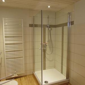 a shower with a glass door in a bathroom at Ferienwohnung "Eifelstueffje" in Mechernich