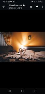 Billede fra billedgalleriet på Hotel Mont Blanc i Predeal + 29 billeder