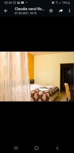 Billede fra billedgalleriet på Hotel Mont Blanc i Predeal