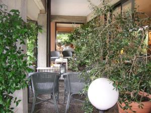 Zahrada ubytování Hotel Canturio