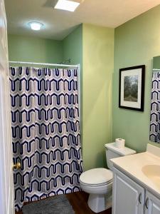 uma casa de banho com um WC e uma cortina de chuveiro em True Blue Hideaway em Pawleys Island