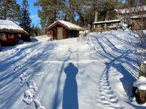 una sombra de una persona caminando en la nieve en Lillesander - 3 bedroom cabin, en Al