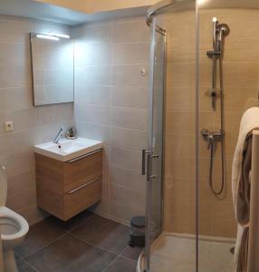 Ένα μπάνιο στο Résidence Carouge Appart Hôtel