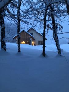 uma casa na neve com árvores e luzes em Loft Naturalpina Dolomiti Farm em Belluno