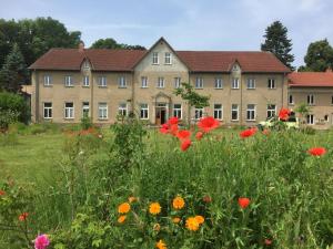 uma casa grande com um campo de flores em Storchenblick em Zarnewanz