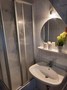 a bathroom with a sink and a shower at Ferienwohnung -Main- Ruheplatz am Wasser 