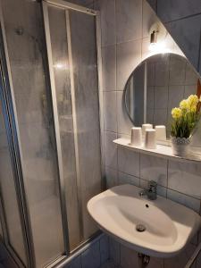 a bathroom with a sink and a shower at Ferienwohnung -Main- Ruheplatz am Wasser in Langenprozelten
