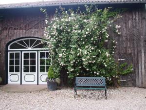 Billede fra billedgalleriet på Ferienwohnungen Knospe i Kappeln