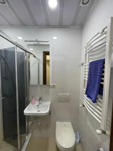 ein Bad mit einem WC, einem Waschbecken und einer Dusche in der Unterkunft Freedom Square Apartment in Tbilisi City