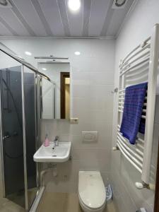 a bathroom with a toilet and a sink and a shower at Freedom Square Apartment in Tbilisi City