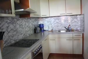 a kitchen with a sink and a counter top at Ferienwohnung Novotny in Lörrach +15 photos