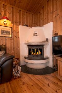 sala de estar con chimenea y TV en Festly, en Ringsaker