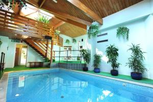 a swimming pool in a building with potted plants at Knoll House in Studland