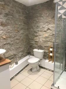 a stone bathroom with a toilet and a shower at Petite Maison pleine nature in La Bastide-Pradines