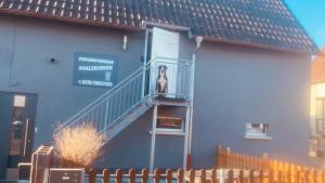 a dog sitting on a balcony of a building at Pfalzkinder in Neustadt an der Weinstraße