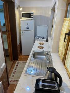 a small kitchen with a sink and a stove at Casa Iancu in Buşteni +2 photos