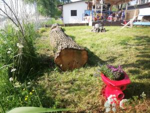 Fotografie z fotogalerie ubytování Seefahrer Musik- & Kreativhotel v destinaci Osten + 38 fotografií