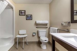 a bathroom with a toilet and a sink at Comfort Suites near Robins Air Force Base in Warner Robins