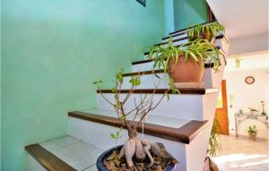 Una planta en una maceta junto a las escaleras. en Nice Home In Saint Quentin La Poter, en Saint-Quentin-la-Poterie