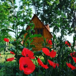 une maison ornithologique en bois avec des fleurs rouges au premier plan dans l'établissement La Gare de Lurey Conflans gîte et hébergements insolites en Champagne, à Esclavolles-Lurey