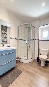 a bathroom with a shower and a toilet and a sink at Appartement F2 refait à neuf tout confort in Montluçon