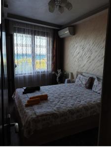 sypialnia z dużym łóżkiem i oknem w obiekcie Sunshine Apartment w mieście Pomorie