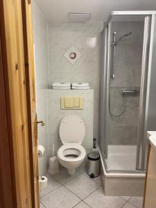 La petite salle de bains est pourvue d'une douche et de toilettes. dans l'établissement Kapitänshaus, à Bad Schandau