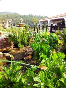 un jardín con plantas y una cabaña en el fondo en Lujosa Casa Quinta en Naturaleza Andina, en Iza